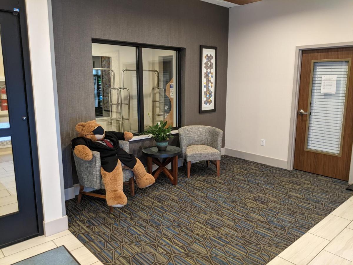 Holiday Inn Express South Burlington By Ihg Bagian luar foto